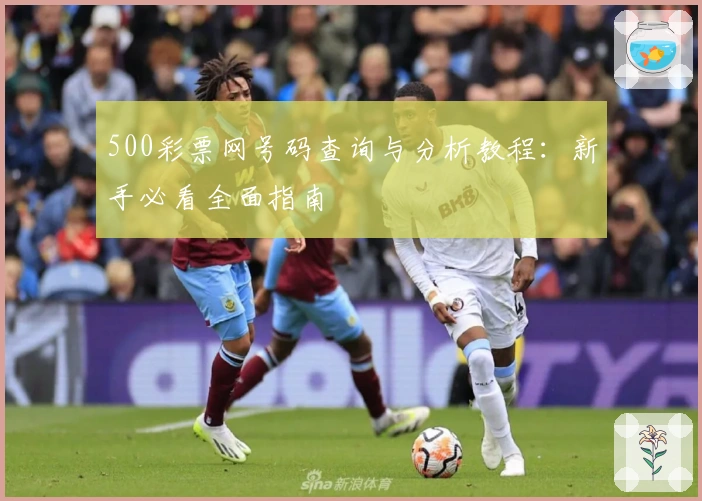 500彩票网号码查询与分析教程：新手必看全面指南