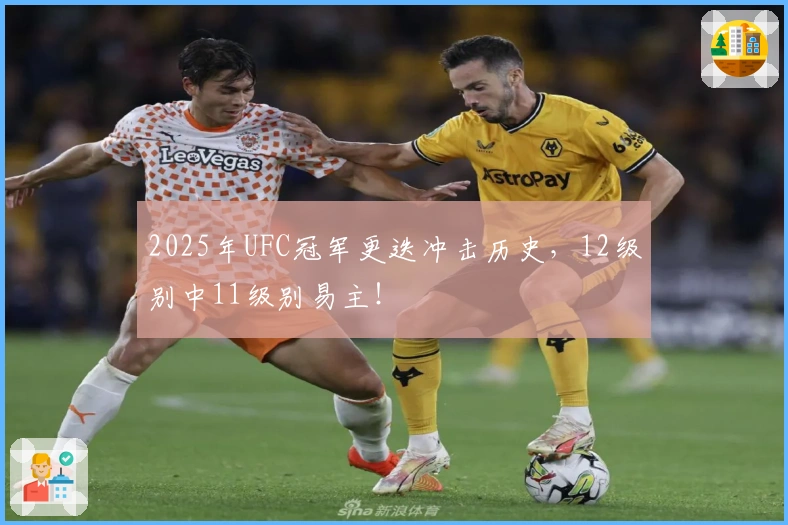2025年UFC冠军更迭冲击历史，12级别中11级别易主！