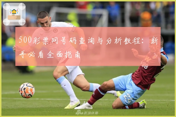 500彩票网号码查询与分析教程：新手必看全面指南